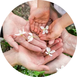 Diverse hands together with flowers, showcasing the essence of healing and community in the Blessings program